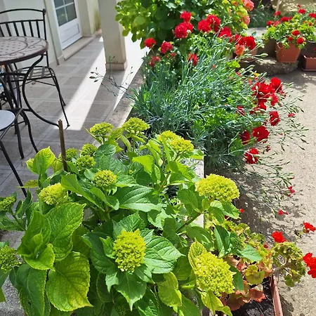 펜션 Sea & River Pearl Komin (Dubrovnik-Neretva)